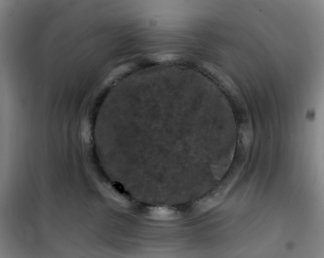 X0000101090380200807101554