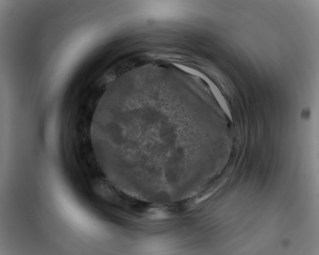 X0000101090381200807101554