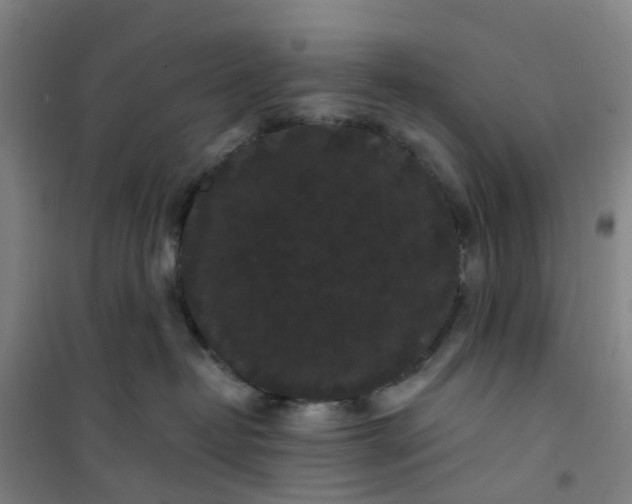 X0000101090382200807101554