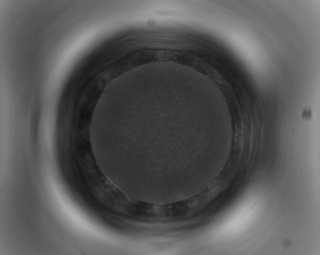 X0000101090383200807101554