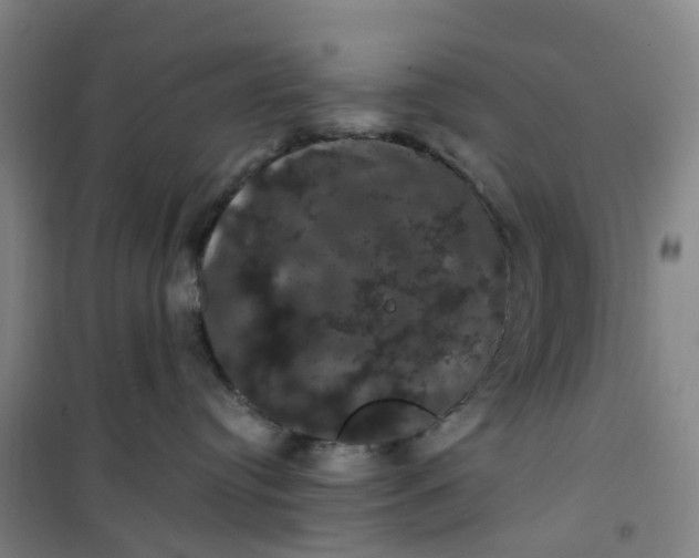 X0000101090384200807101554