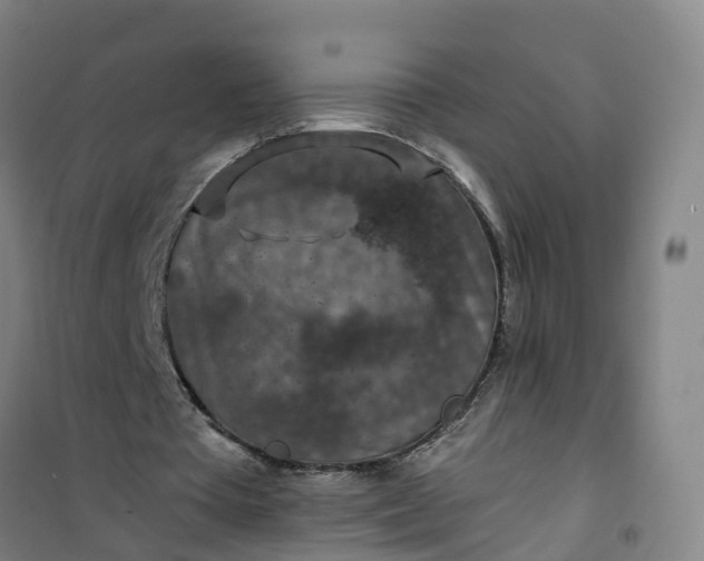 X0000101090385200807101553