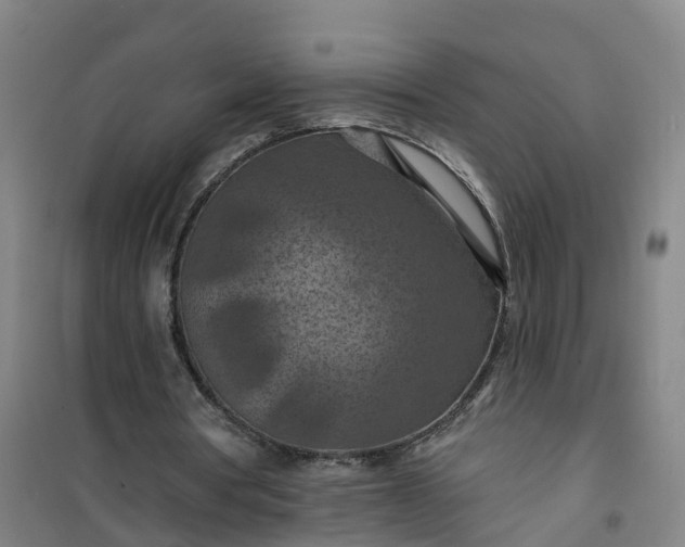 X0000101090386200807101553