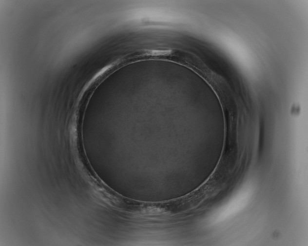 X0000101090387200807101553