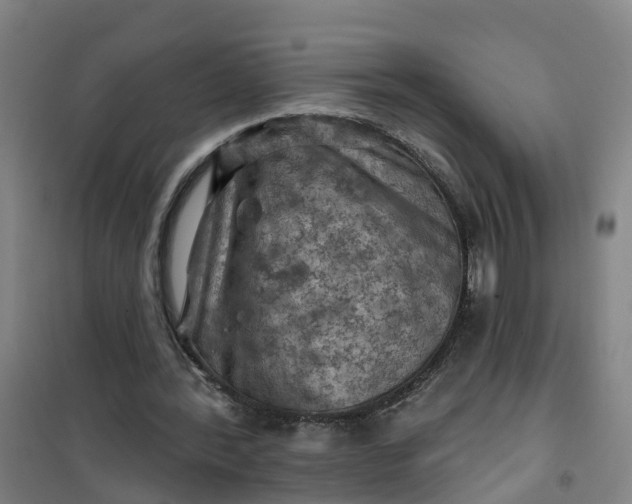 X0000101090388200807101553