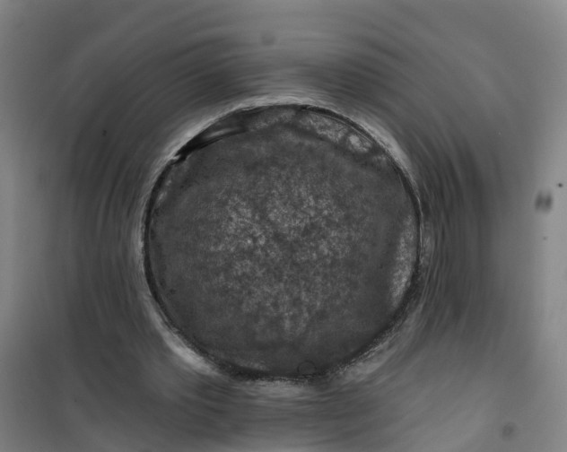 X0000101090389200807101553