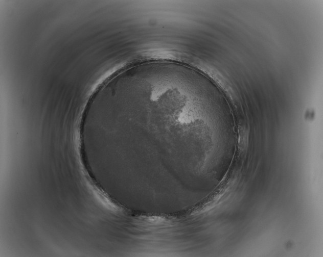 X0000101090390200807101553