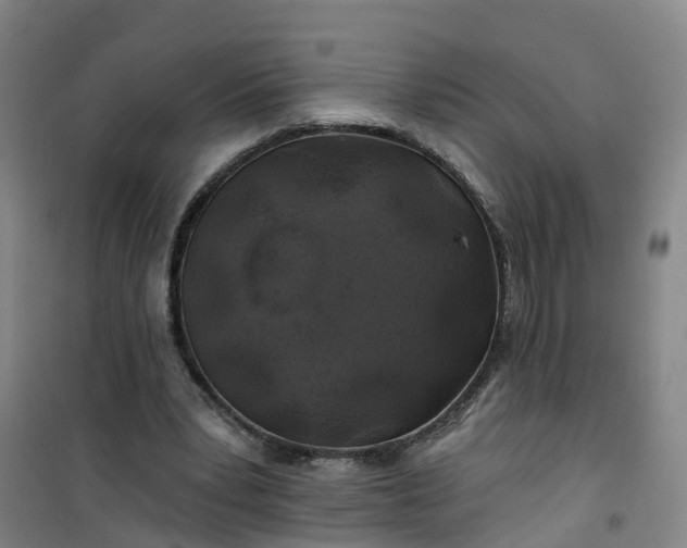 X0000101090391200807101553