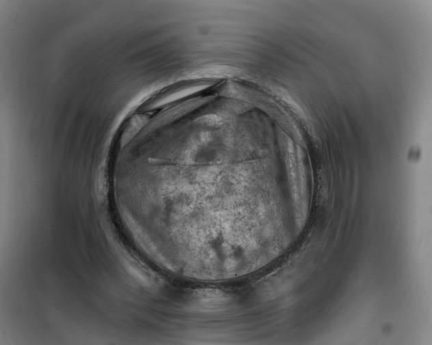 X0000101090392200807101553