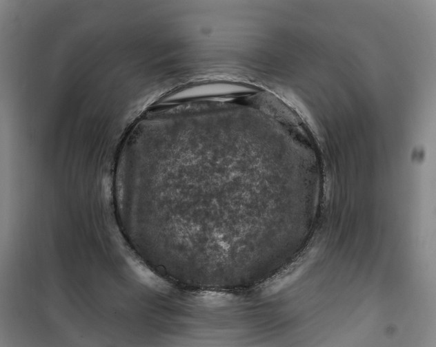 X0000101090393200807101553