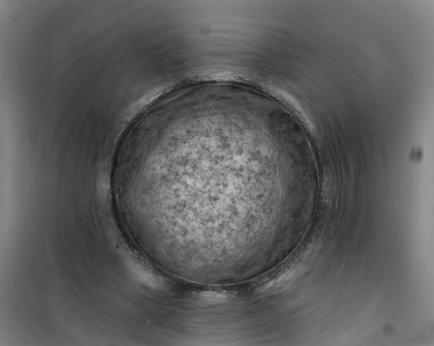 X0000101090394200807101553