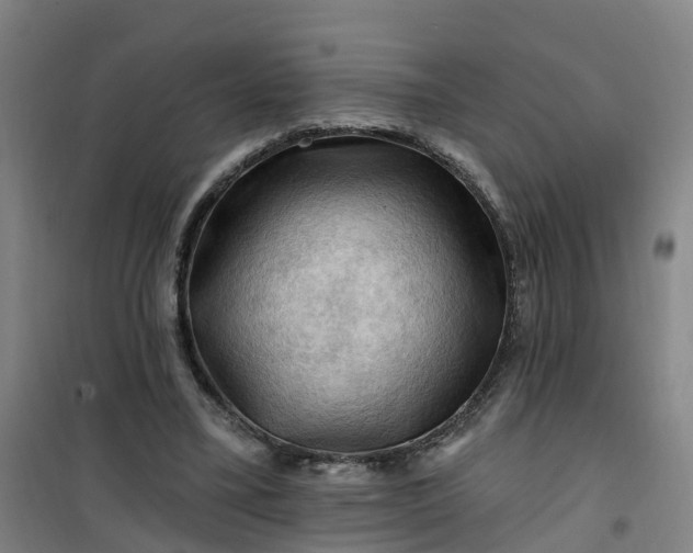 X0000101090395200807101553