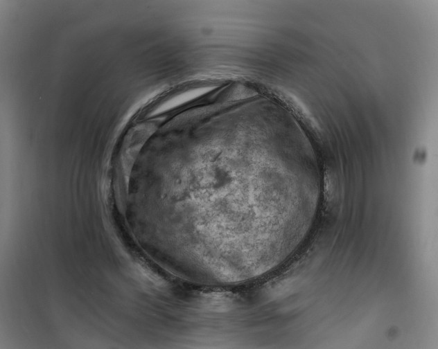 X0000101090396200807101553