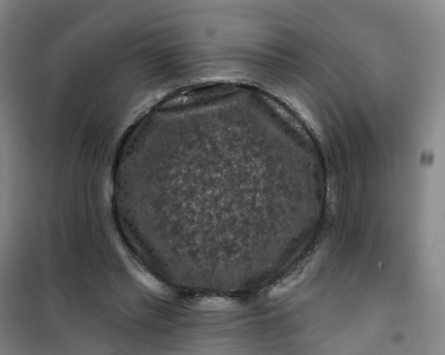 X0000101090397200807101553