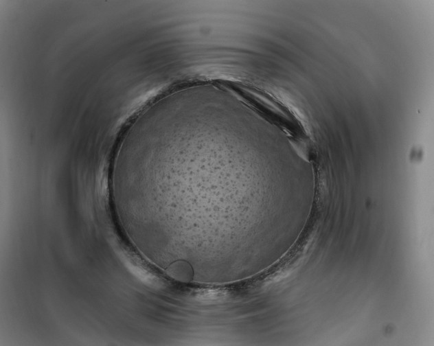 X0000101090398200807101553