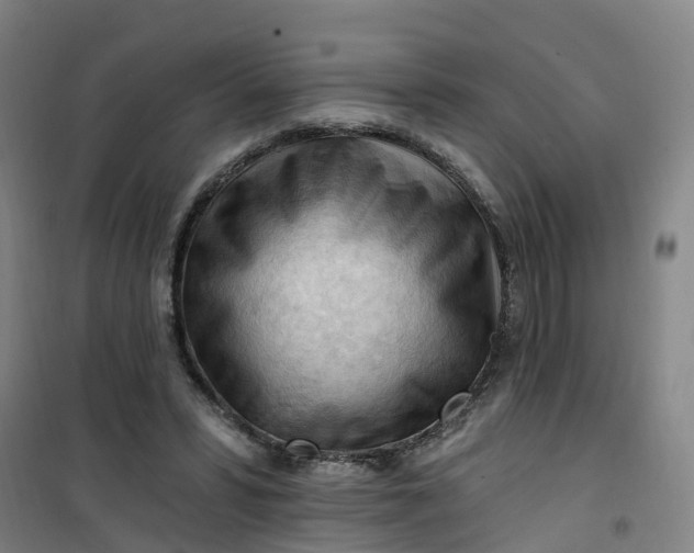 X0000101090399200807101553