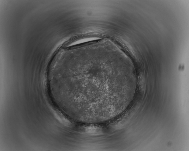 X0000101090400200807101553