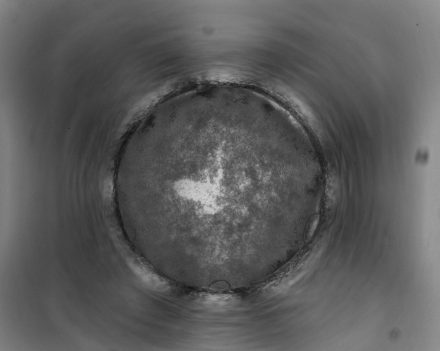 X0000101090401200807101553