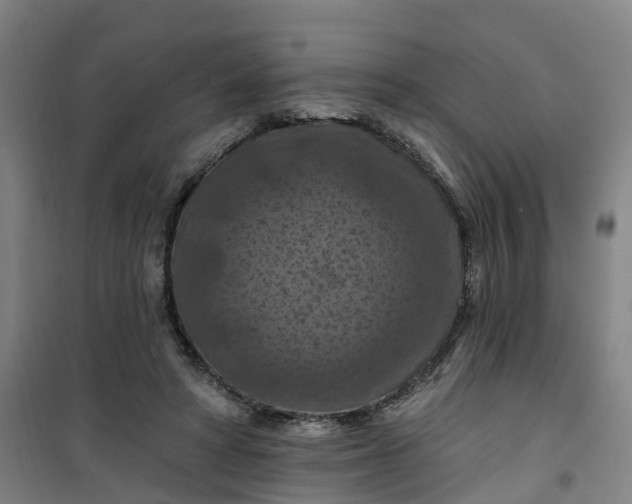 X0000101090402200807101553