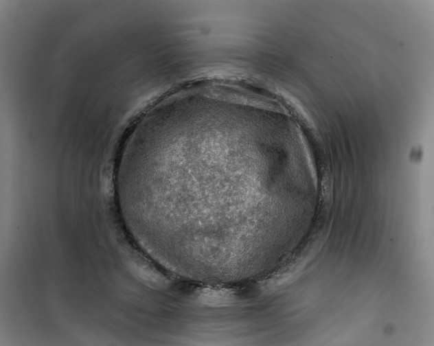 X0000101090403200807101553