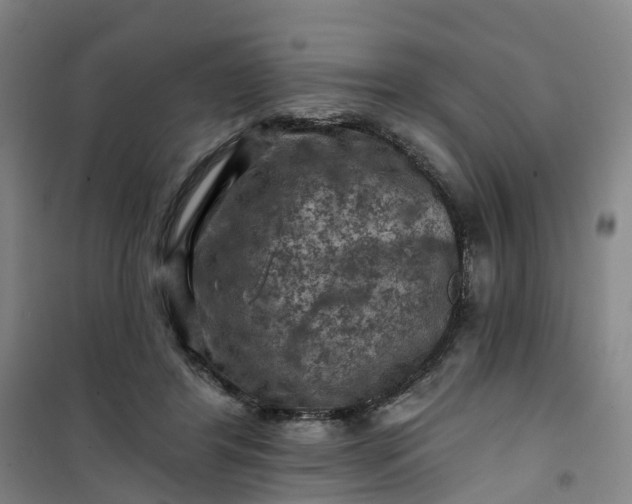 X0000101090404200807101553