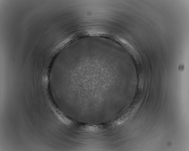 X0000101090405200807101553