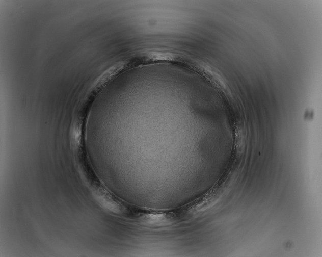 X0000101090406200807101553