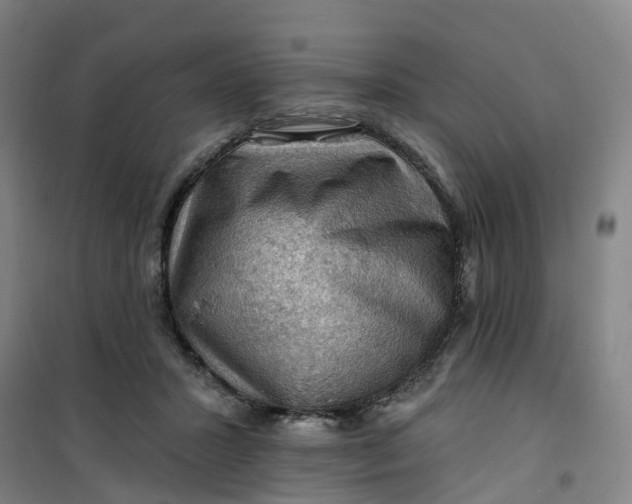 X0000101090407200807101553