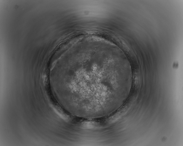 X0000101090408200807101553