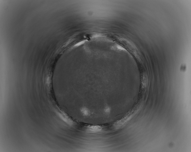 X0000101090409200807101553