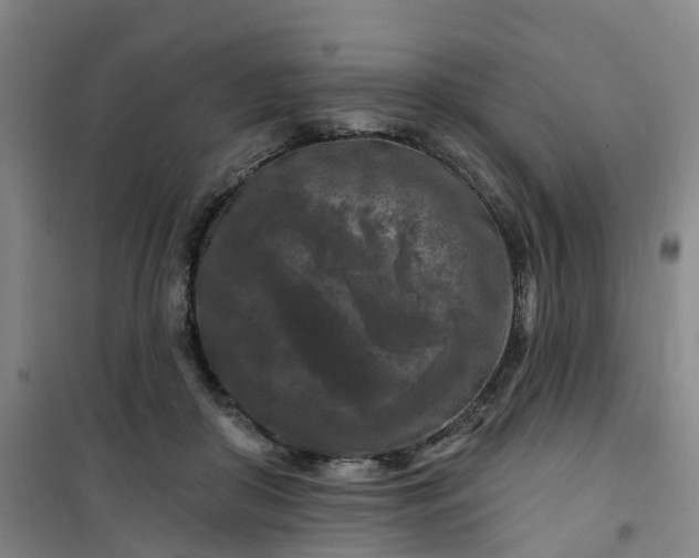 X0000101090410200807101553