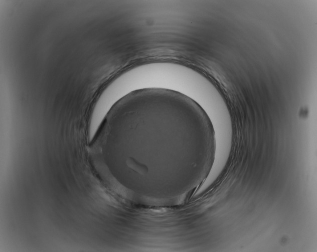 X0000101090411200807101553