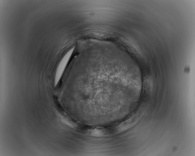 X0000101090412200807101553