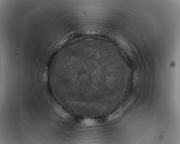 X0000101090413200807101553