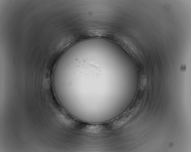 X0000101090414200807101553