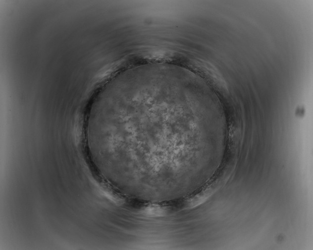 X0000101090416200807101553