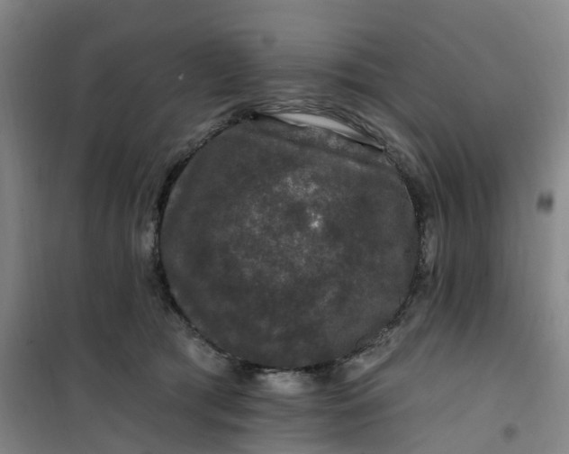 X0000101090417200807101553