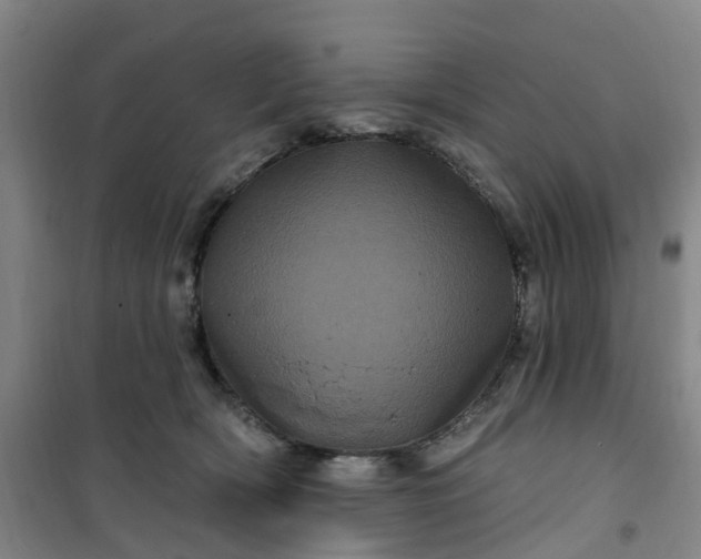 X0000101090418200807101553