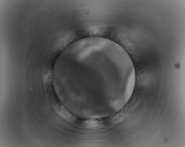 X0000101090419200807101553