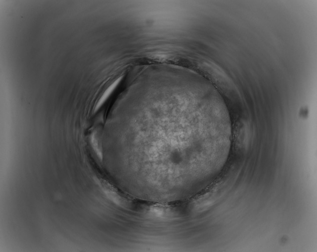 X0000101090420200807101553