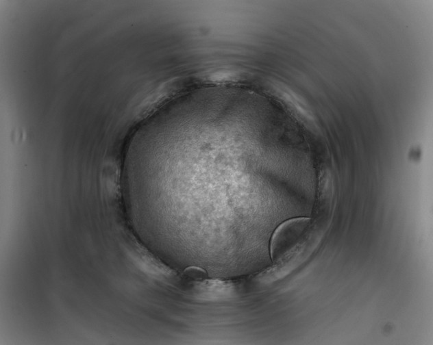 X0000101090421200807101553