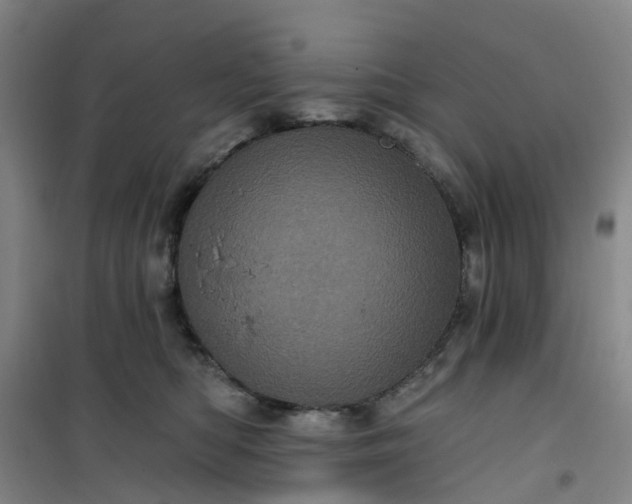 X0000101090422200807101553