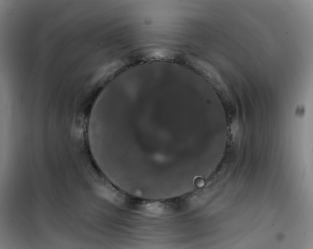 X0000101090423200807101553