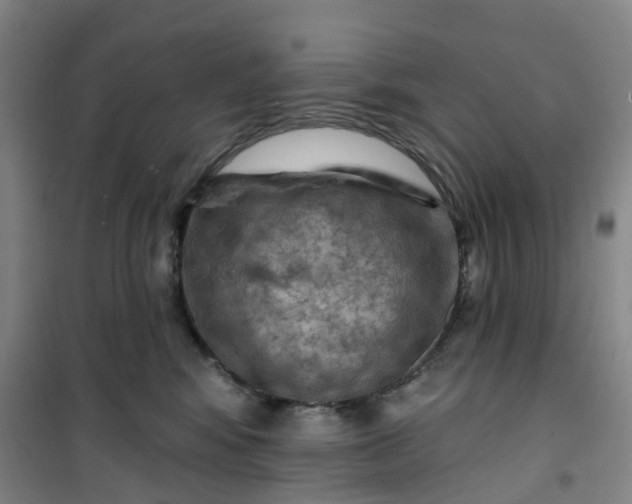 X0000101090424200807101553