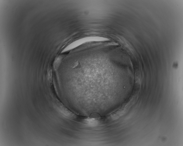 X0000101090425200807101553