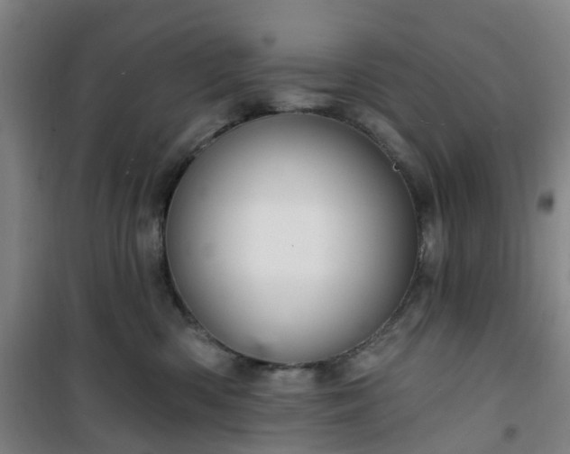 X0000101090426200807101553