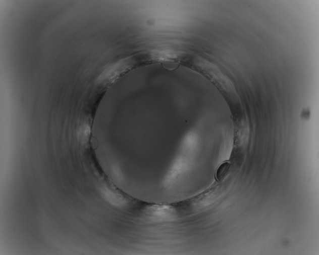 X0000101090427200807101553