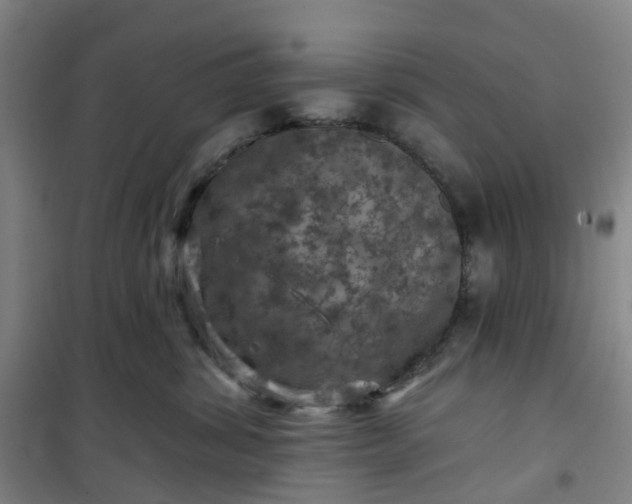 X0000101090428200807101553