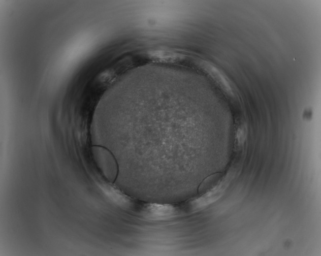 X0000101090429200807101553