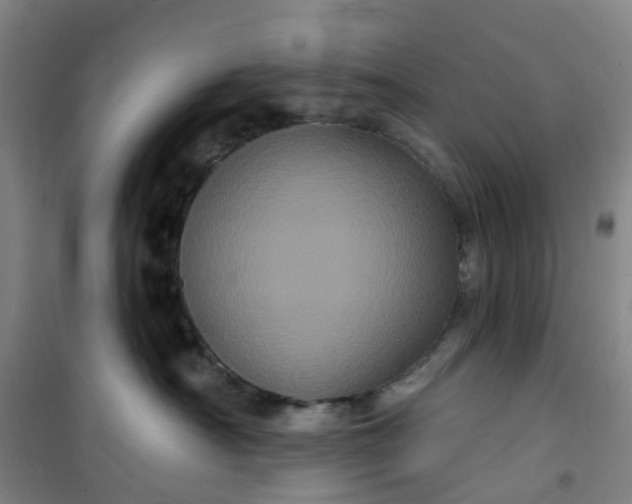 X0000101090430200807101553